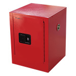 15 L Combustible Cabinet LCBC-B10