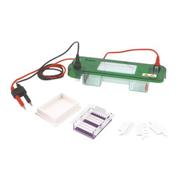 Horizontal Electrophoresis System : Horizontal Electrophoresis System LHES-A10