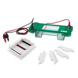 Horizontal Electrophoresis System : Horizontal Electrophoresis System LHES-A11