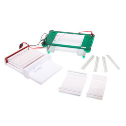 Horizontal Electrophoresis System : Horizontal Electrophoresis System LHES-A12
