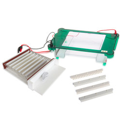 Horizontal Electrophoresis System : Horizontal Electrophoresis System LHES-A13