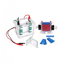 Vertical Electrophoresis System : Vertical Electrophoresis System LVES-A12