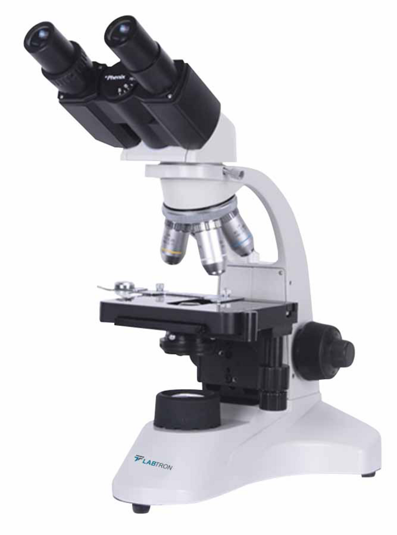 LBM-D11